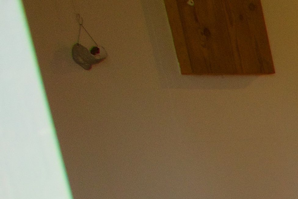 Udstillingen 2016.