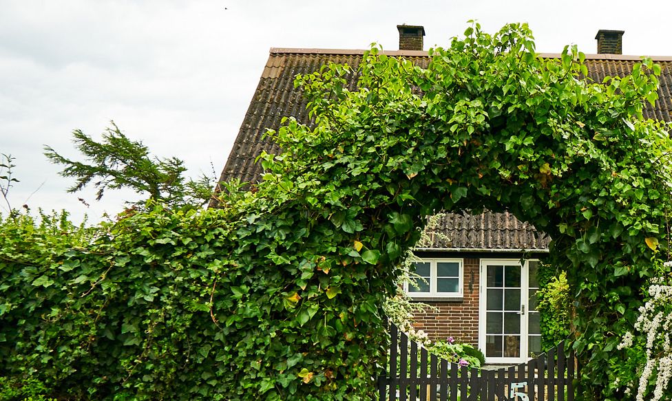 Nordside Søndenom 5 - Anette 30 27 49 19